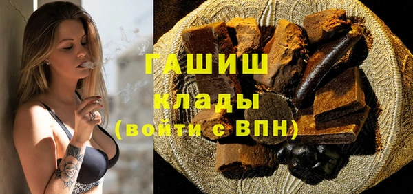 индика Алексин
