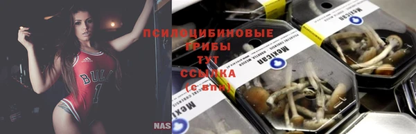 крисы Рославль