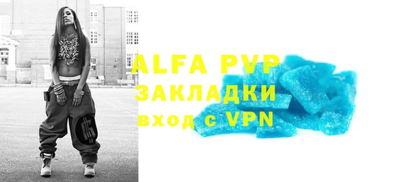 индика Алексин