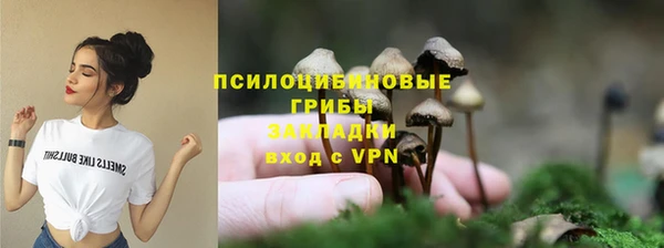 индика Алексин
