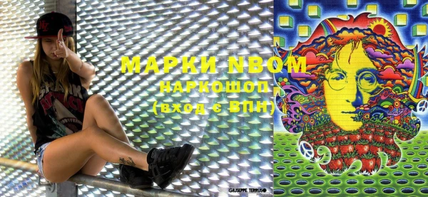 индика Алексин