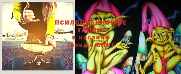 стаф Алзамай