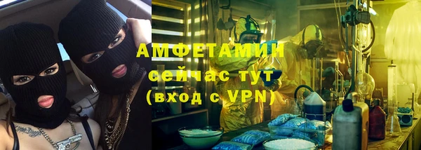 прущие грибы Алексеевка