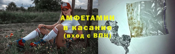 стаф Алзамай